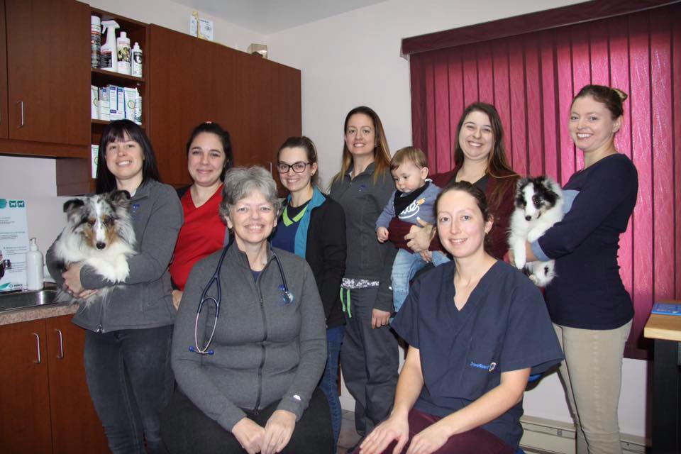 équipe de la Clinique Vétérinaire de Charlevoix 